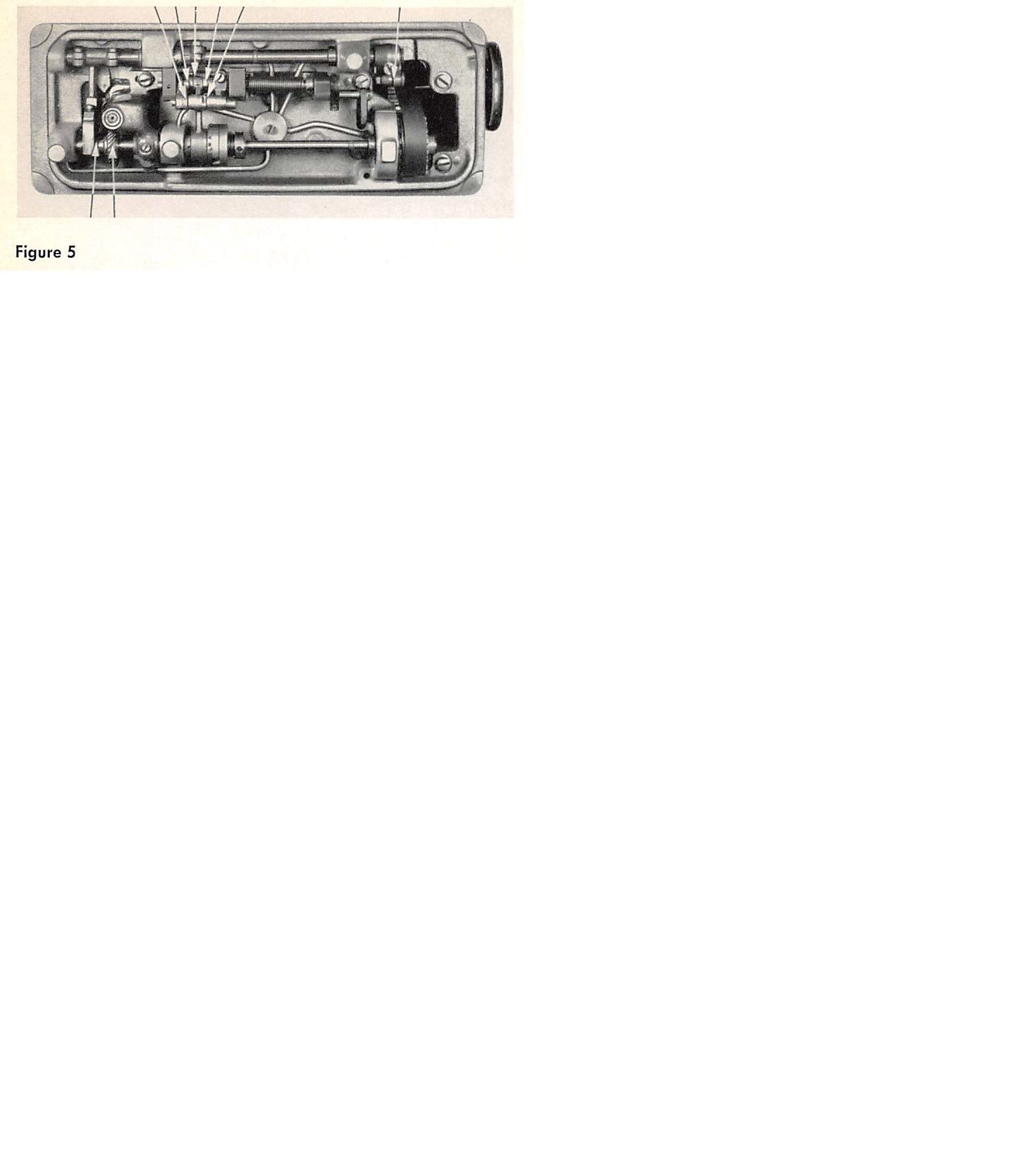 Figure 5.jpg